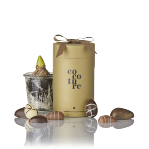 Marcipanæg og fyldte chokoladeæg i guld Cocoture gaverør - 255g